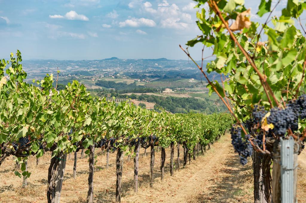 Hotel Villasanpaolo & San Gimignano